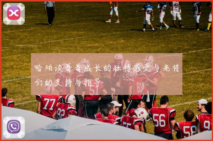 哈珀谈哥哥成长的独特感受与老将们的支持与指导