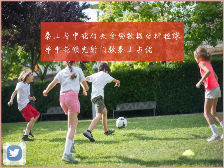 泰山与申花对决全场数据分析控球率申花领先射门数泰山占优